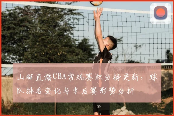 山猫直播CBA常规赛积分榜更新，球队排名变化与季后赛形势分析